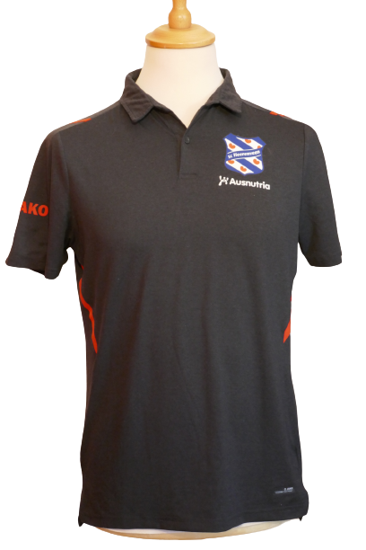 SC Heerenveen - Polo _ (M) #01782
