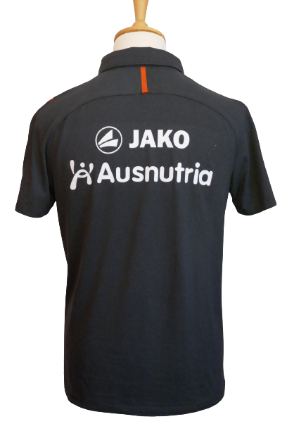 SC Heerenveen - Polo _ (M) #01782