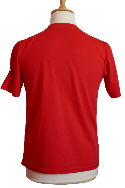 Le Mans FC 2016/17 - Maillot training _ (M) #01949