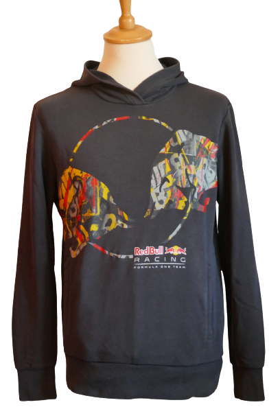 Formule 1 - Red Bull F1 - Sweat _ (M) #01911