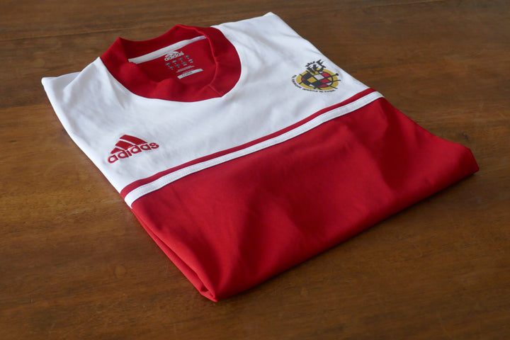 Espagne - Maillot training _ (L) #01997