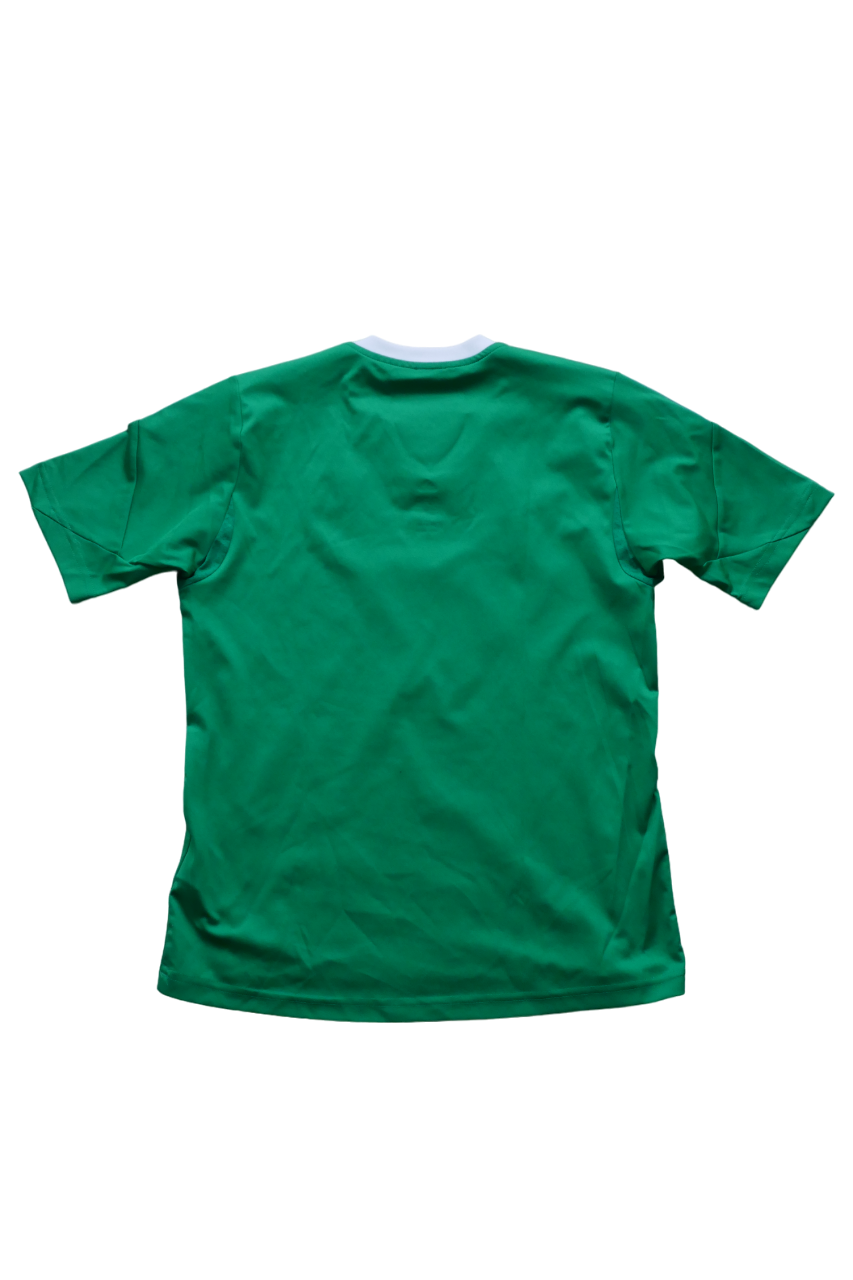 Saint-Etienne ASSE 2013/14 - Maillot _ (12ans) #02619