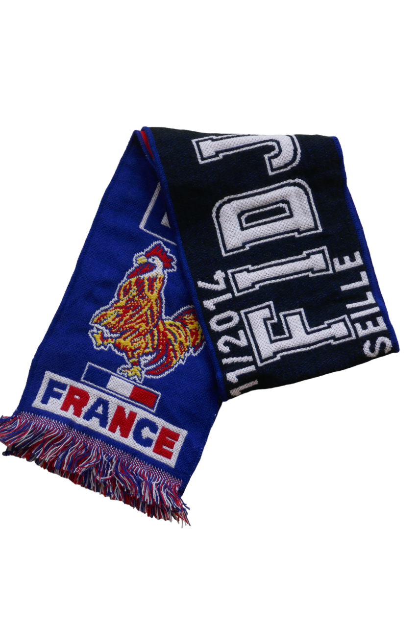France / Fidji 2014- Test Match _ #03012