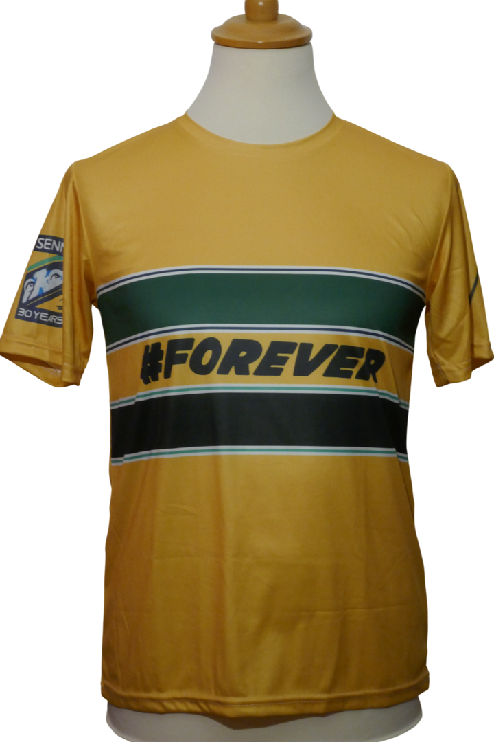 Formule 1 - Ayrton Senna - Maillot 30ans _ (M) #03269
