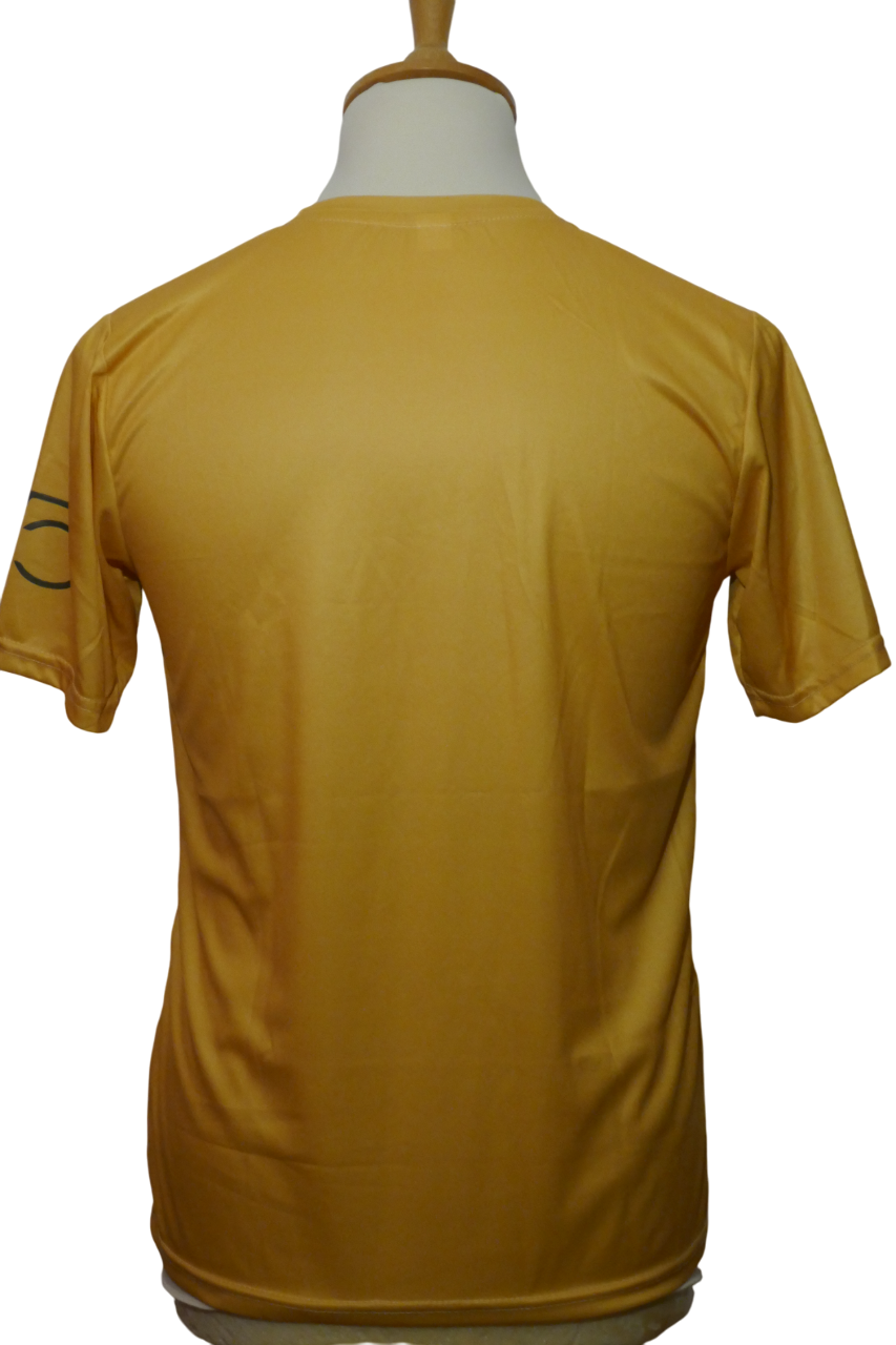 Formule 1 - Ayrton Senna - Maillot 30ans _ (M) #03269