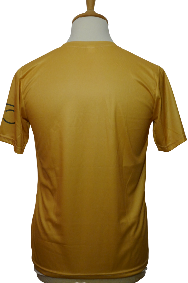 Formule 1 - Ayrton Senna - Maillot 30ans _ (M) #03269