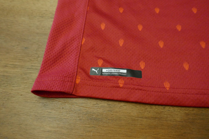 Autriche - Maillot 2020 _ (S) #03301