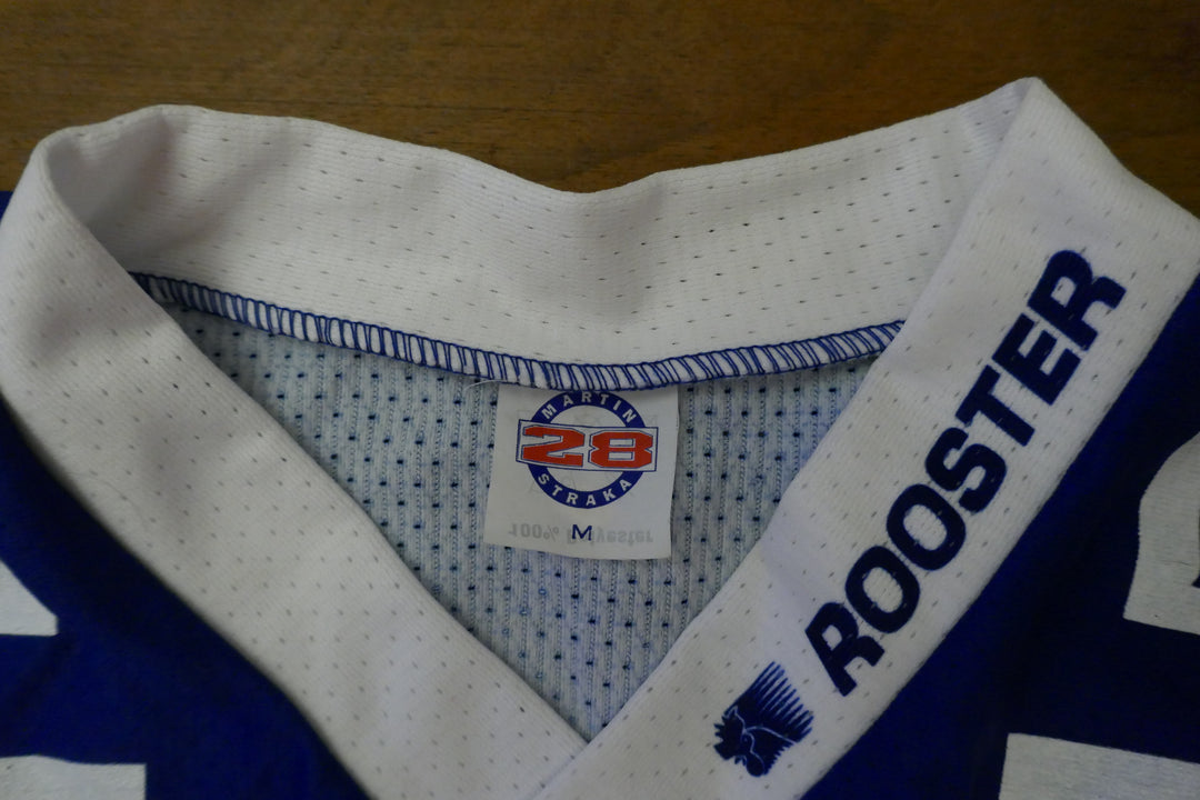 Hockey - Les Bruleurs de Loups de Grenoble  - Maillot 2001/02 _ (M) #03448