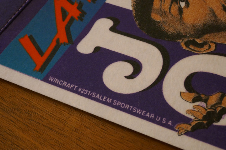 Charlotte Hornets - Larry Johnson - Fanion _ #3611