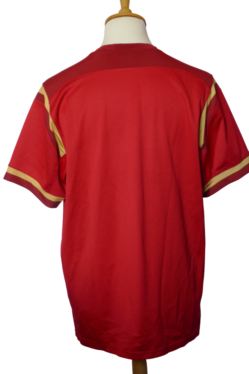 Pays de Galles 2015 - Maillot  _ (XL) #03857