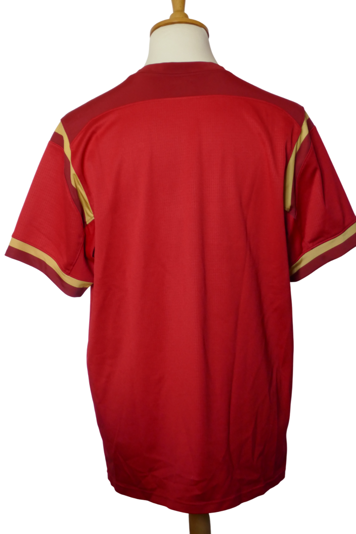 Pays de Galles 2015 - Maillot  _ (XL) #03857