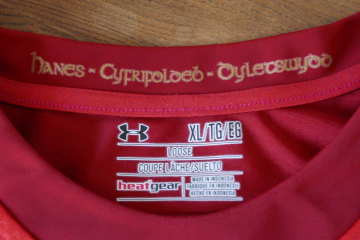 Pays de Galles 2015 - Maillot  _ (XL) #03857