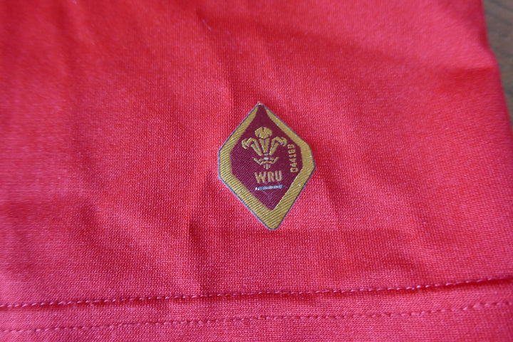 Pays de Galles 2015 - Maillot  _ (XL) #03857
