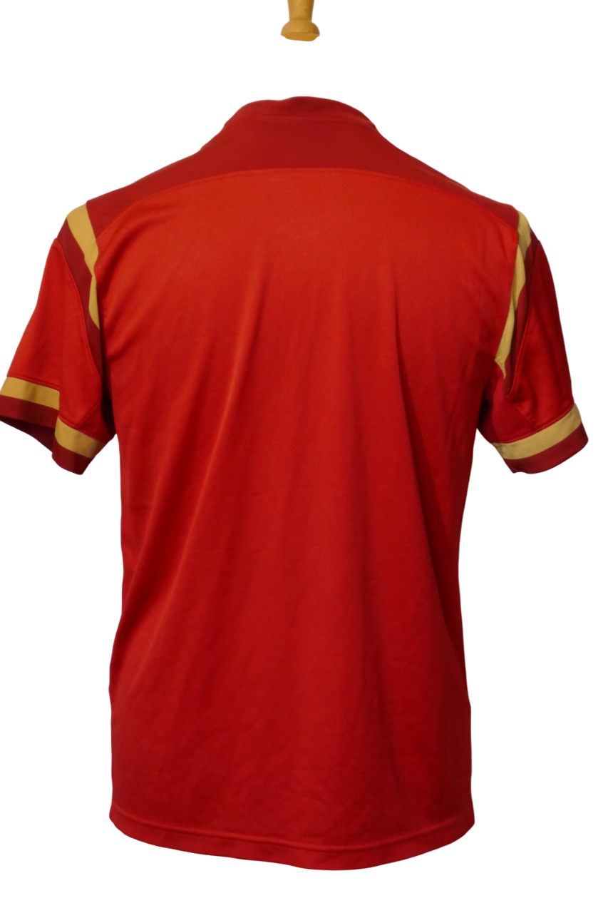 Pays de Galles 2015 - Maillot coupe du monde _ (S) #03755