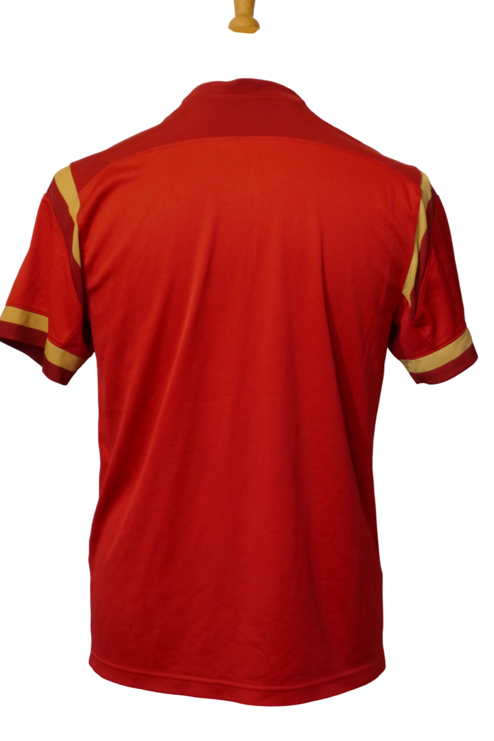Pays de Galles 2015 - Maillot coupe du monde _ (S) #03755