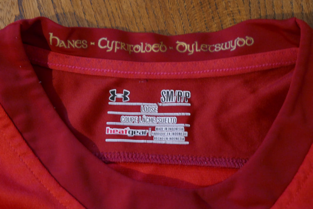 Pays de Galles 2015 - Maillot coupe du monde _ (S) #03755