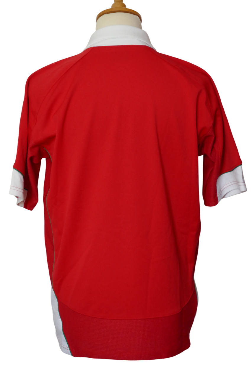 Pays de Galles 2009 - Maillot  _ (L) #03761
