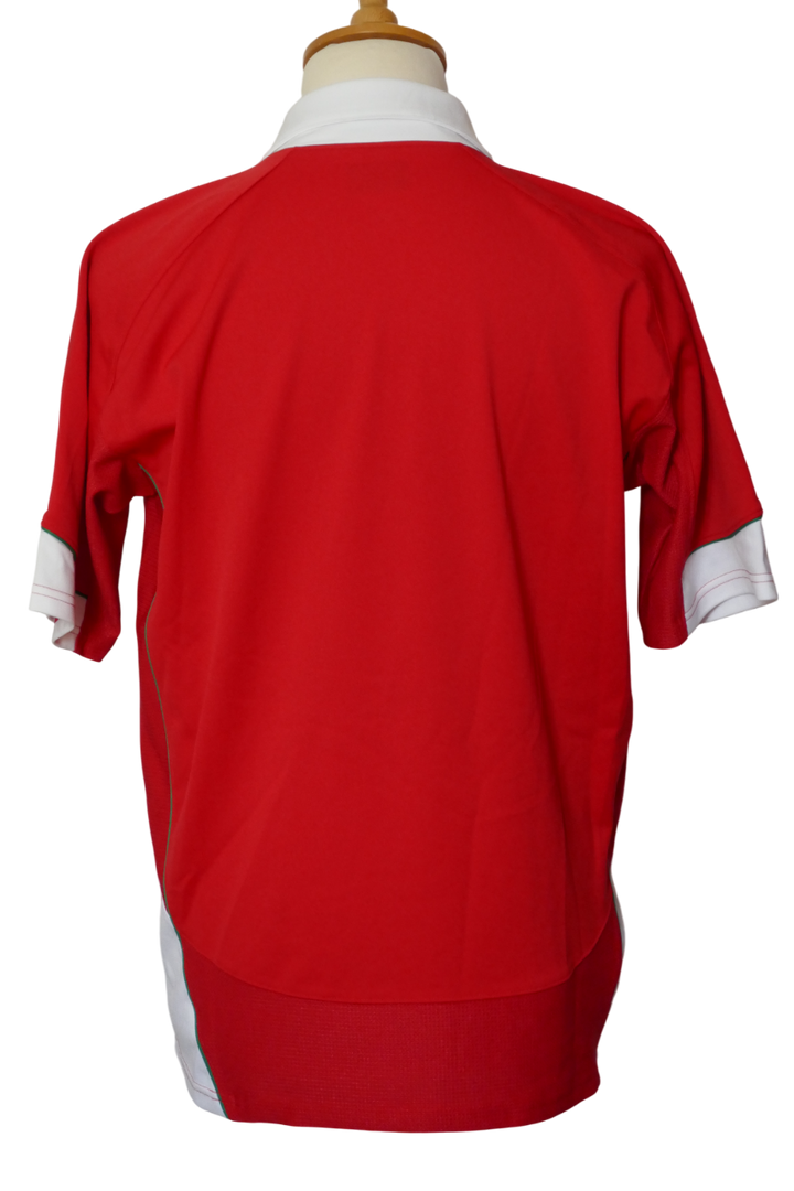 Pays de Galles 2009 - Maillot  _ (L) #03761