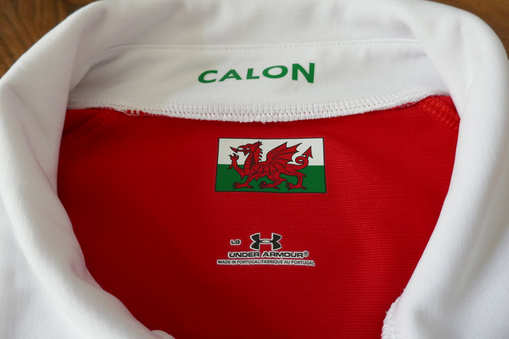 Pays de Galles 2009 - Maillot  _ (L) #03761