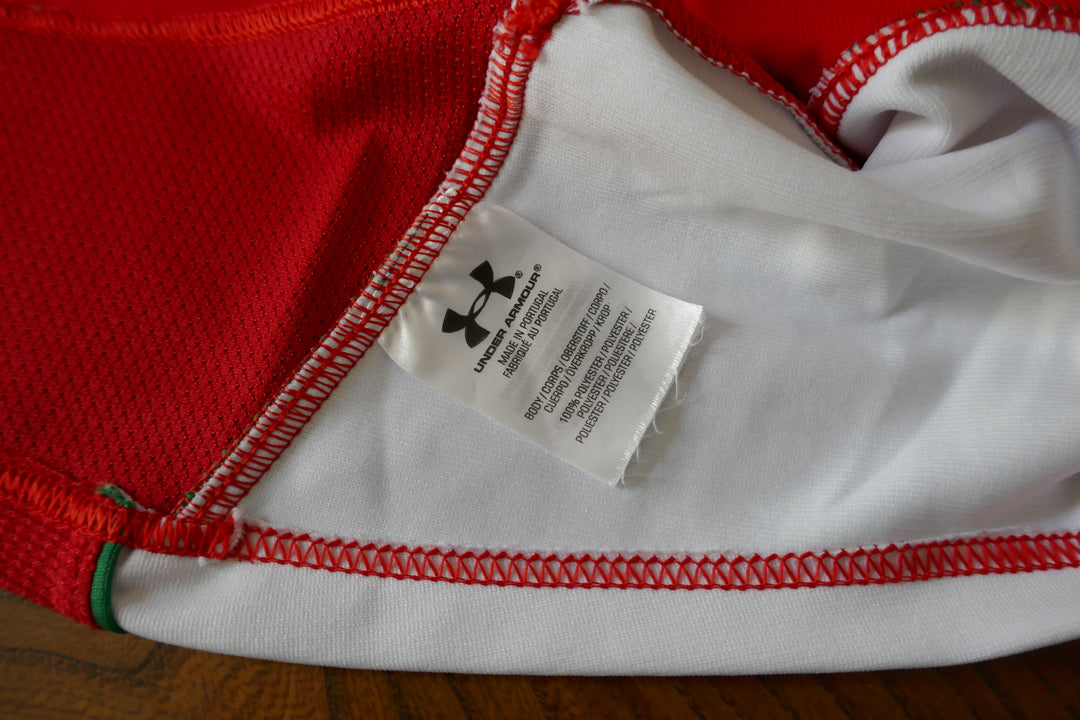 Pays de Galles 2009 - Maillot  _ (L) #03761