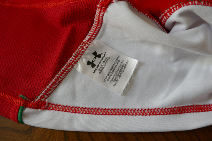 Pays de Galles 2009 - Maillot  _ (L) #03761
