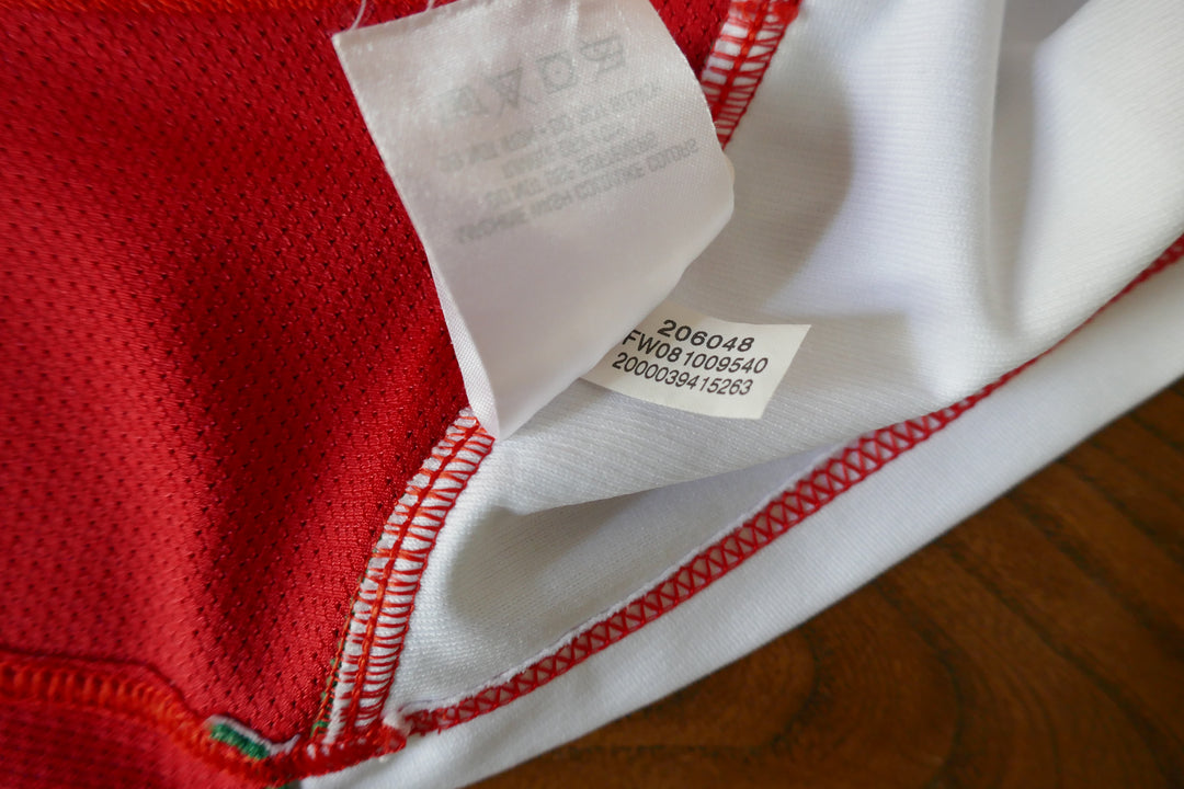 Pays de Galles 2009 - Maillot  _ (L) #03761