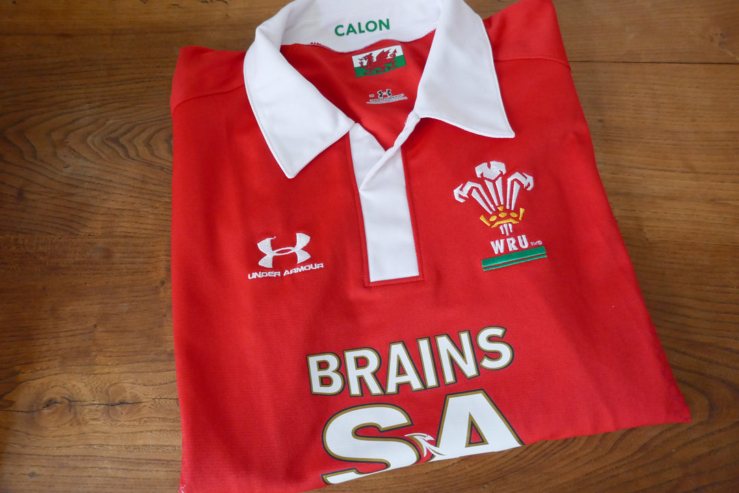 Pays de Galles 2009 - Maillot  _ (L) #03761