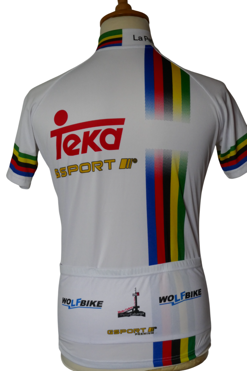 Medio Cudeyo/Pena Cabarga 2014 - Oscar Freire - Maillot _ (L) #03895