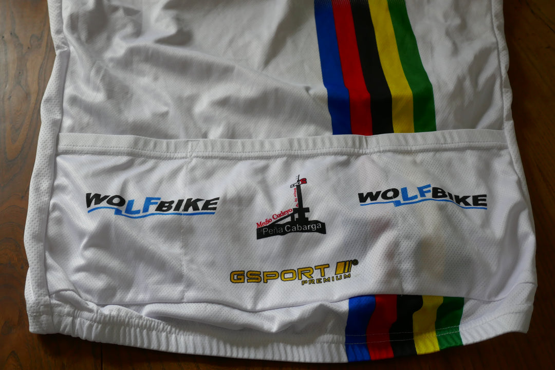 Medio Cudeyo/Pena Cabarga 2014 - Oscar Freire - Maillot _ (L) #03895