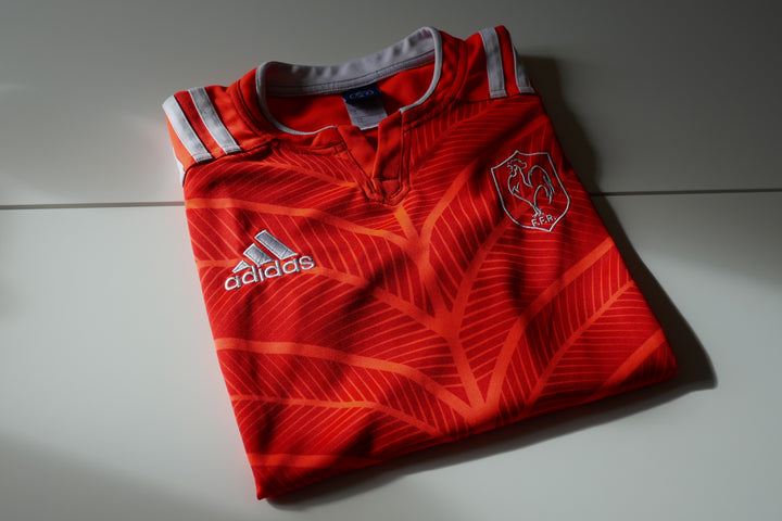 France 2015 - Maillot training _ (L) #04079