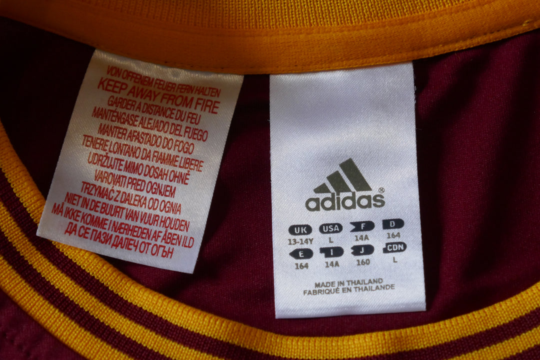 Cleveland Cavaliers 2014/17 - Lebron James - Maillot _ (14ans) #01490