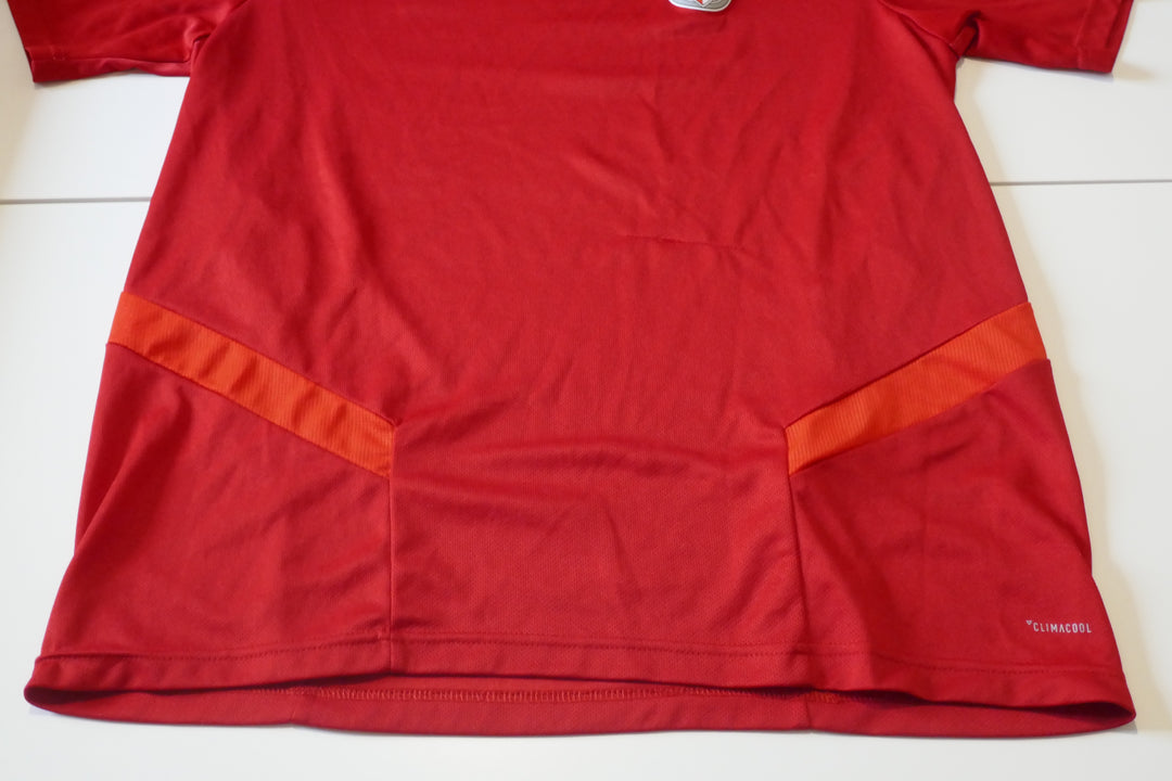 SL Benfica - Maillot training _ (M) #04286