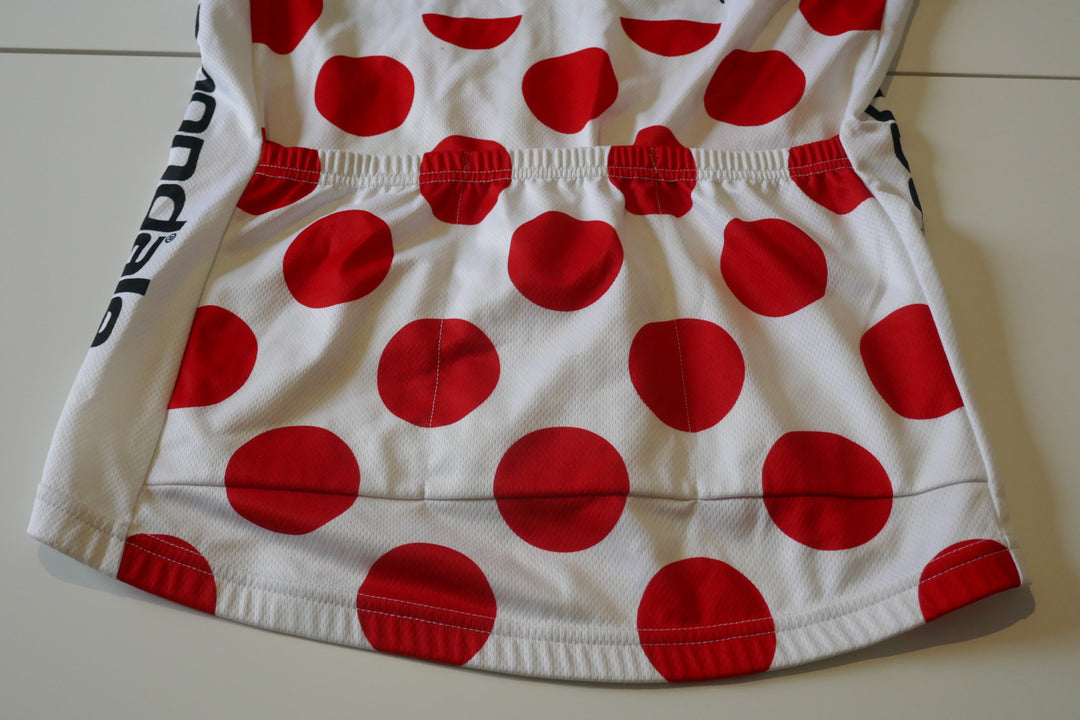 Tour de France 2009 - Liquigas - Franco Pellizotti - Maillot à pois commémoratif _ (L) #04288