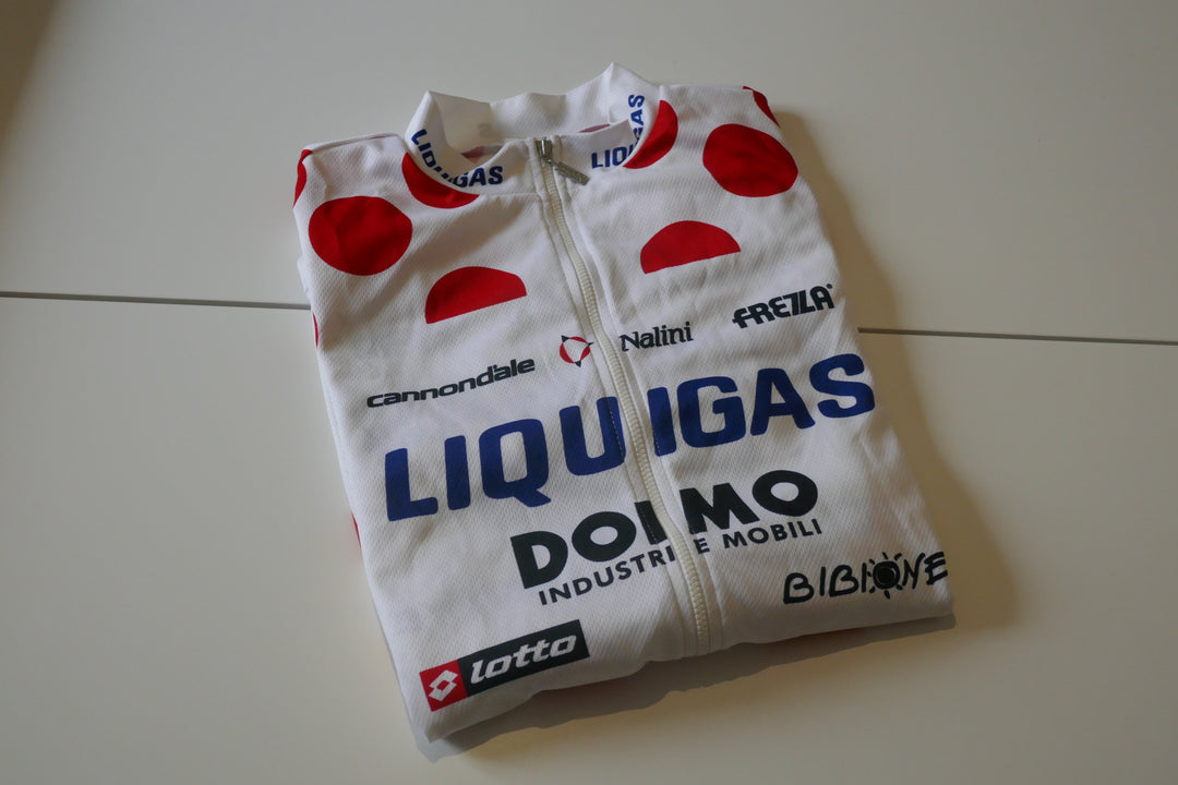 Tour de France 2009 - Liquigas - Franco Pellizotti - Maillot à pois commémoratif _ (L) #04288